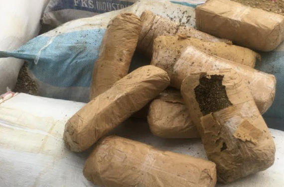 DOUANE, OPERATION « COUP DE POING » : 304 kg de chanvre indien saisis à Mbour par le GPPRF