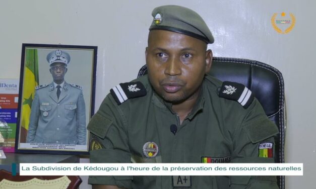 La Subdivision de Kédougou à l&rsquo;heure de la préservation des ressources naturelles
