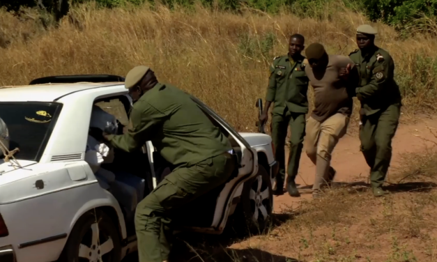 Lutte contre le trafic de drogues : Les Douanes sénégalaises sur tous les fronts