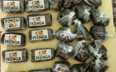 Lutte contre le trafic international de drogues : La Brigade commerciale des Douanes de Karang met la main sur 03,5 Kg de haschich