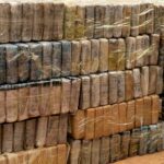 Lutte contre le trafic international de drogues: 970,6 kg de cocaïne interceptés par la Brigade mobile des Douanes de Koumpentoum