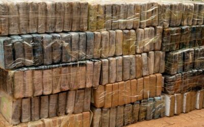 Lutte contre le trafic international de drogues: 970,6 kg de cocaïne interceptés par la Brigade mobile des Douanes de Koumpentoum