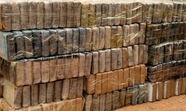 Lutte contre le trafic international de drogues: 970,6 kg de cocaïne interceptés par la Brigade mobile des Douanes de Koumpentoum