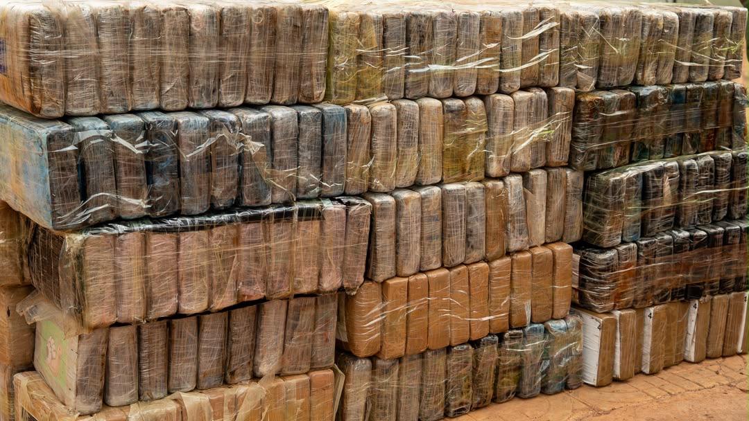 Lutte contre le trafic international de drogues: 970,6 kg de cocaïne interceptés par la Brigade mobile des Douanes de Koumpentoum