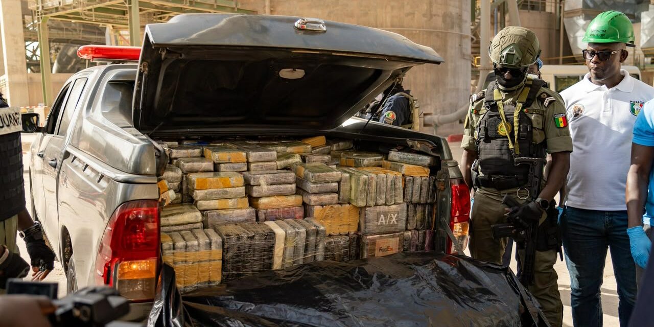 Journée internationale contre l’Abus et le Trafic de Drogues : De la drogue et des produits dangereux incinérés à la SOCOCIM