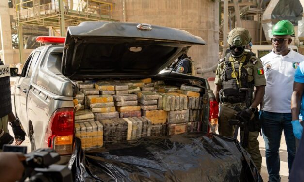 Journée internationale contre l’Abus et le Trafic de Drogues : De la drogue et des produits dangereux incinérés à la SOCOCIM