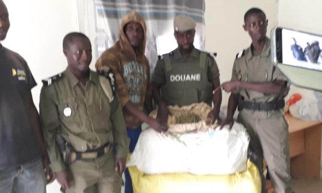 337 kg of Indian hemp Seized by the Kolda Mobile Brigade