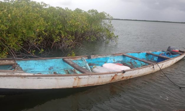 Seizure: 44 kg of Indian hemp seized again