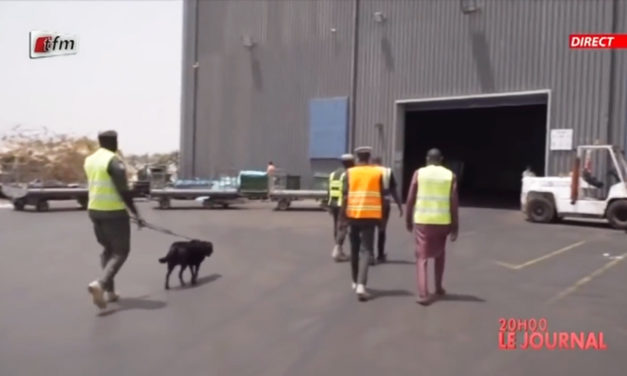 Reportage du 4 avril 2021 – TFM : La Douane à l&rsquo;AIBD