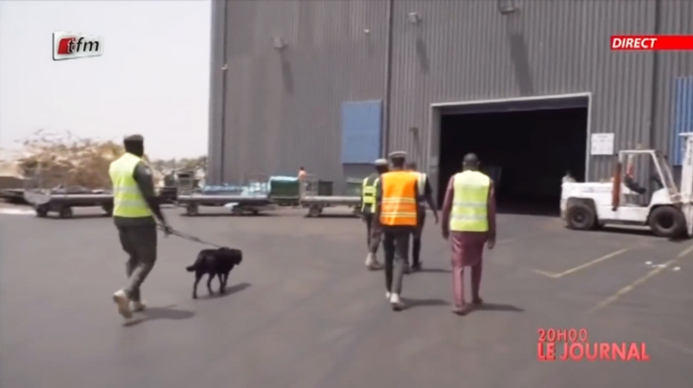 Reportage du 4 avril 2021 – TFM : La Douane à l&rsquo;AIBD