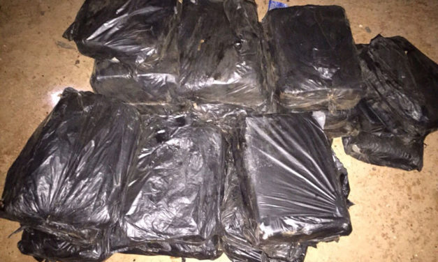 La Douane saisit de la drogue : Khat et cannabis, les brigades de l’aéroport Léopold Sédar SENGHOR de Dakar et de Kaffrine en exergue