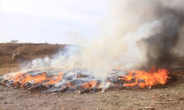 Ziguinchor: Drug and illicit products incineration