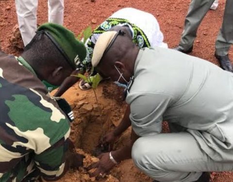CUSTOMS and FORESTS SERVICES COOPERATION: AIBD reforestation operation
