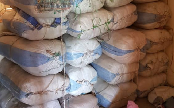 356 kilograms of Indian hemp seized at Gossas unit