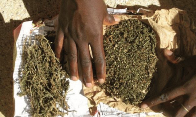 Seizure of Indian hemp and khat